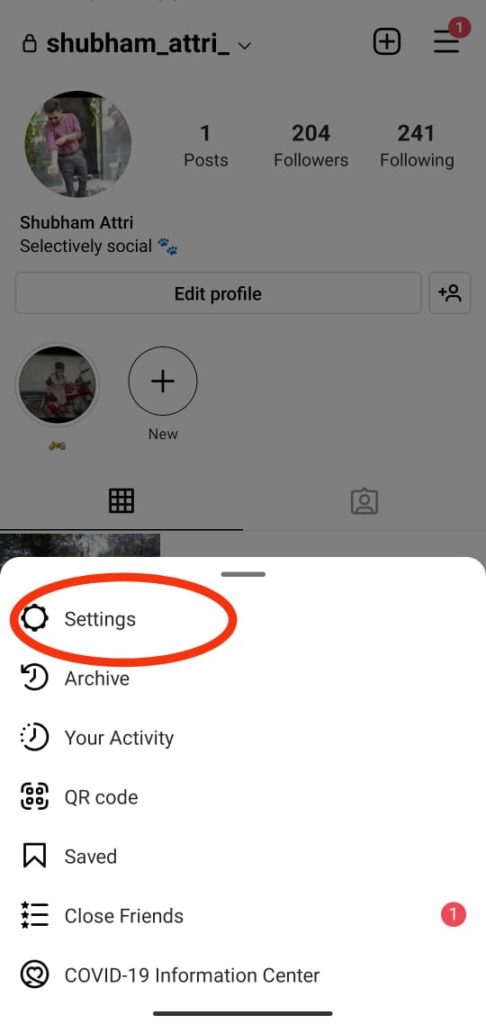 How to Turn On Shake On Instagram