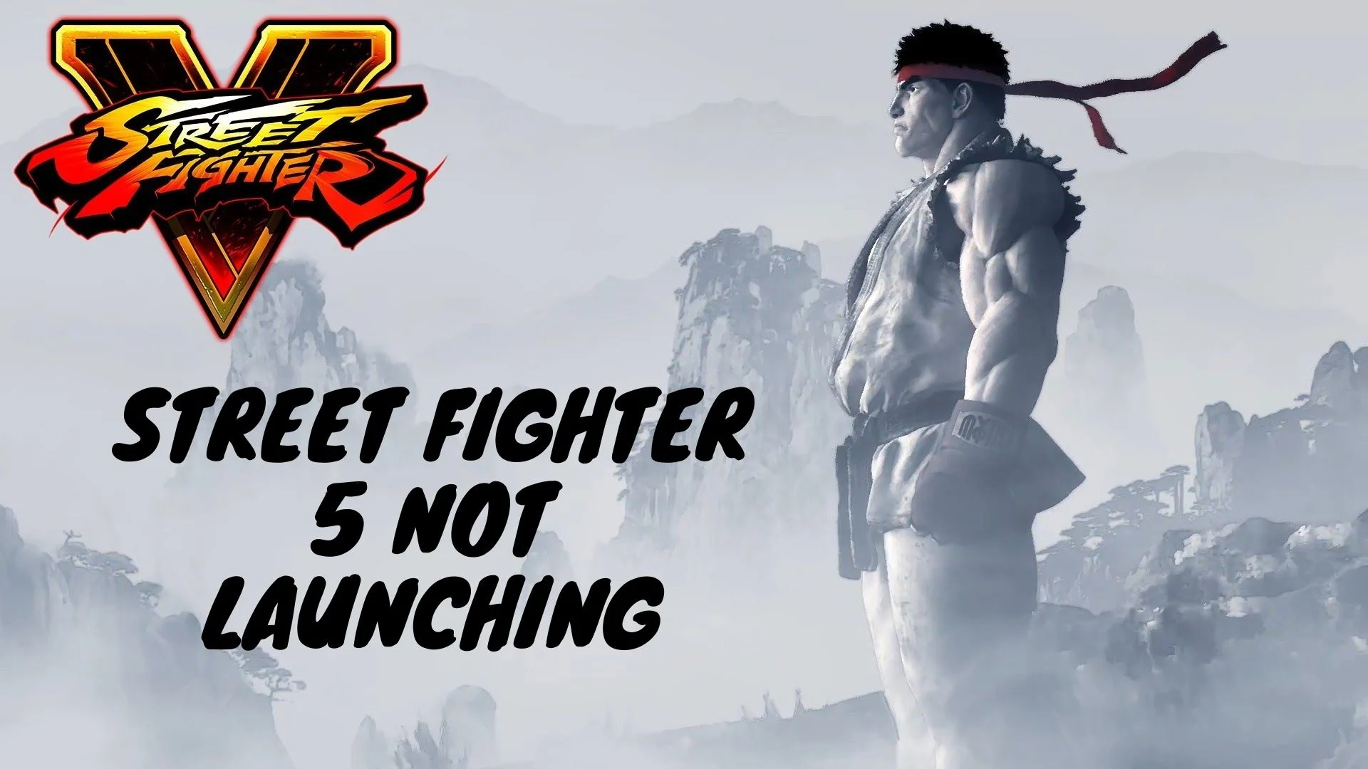 Street Fighter 5 Not Launching