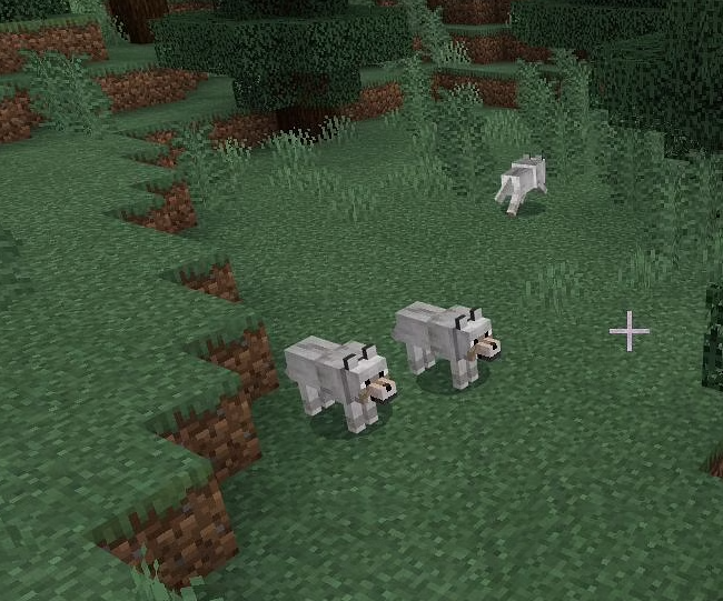 How To Tame A Dog In Minecraft