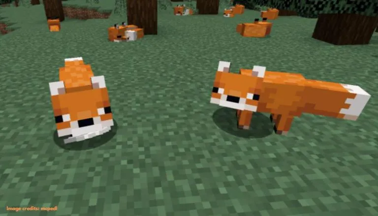 How To Tame A Fox In Minecraft