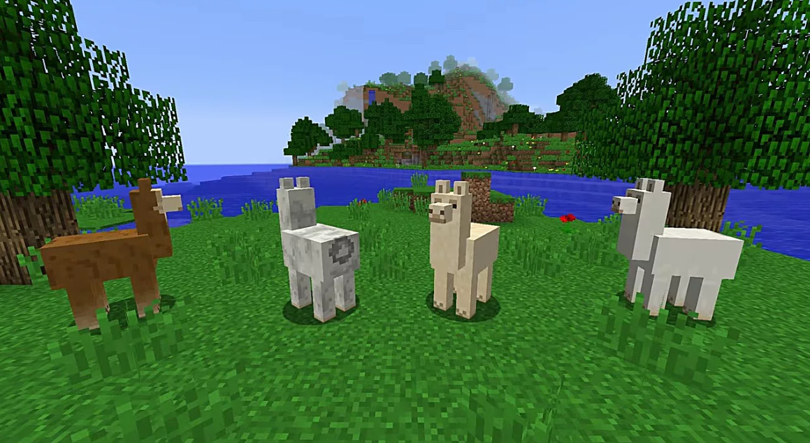 How To Tame A Llama In Minecraft