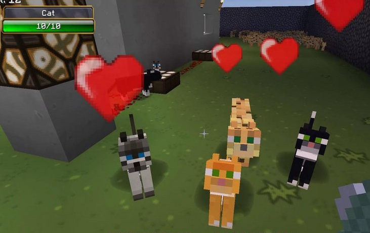 How To Tame A Cat In Minecraft