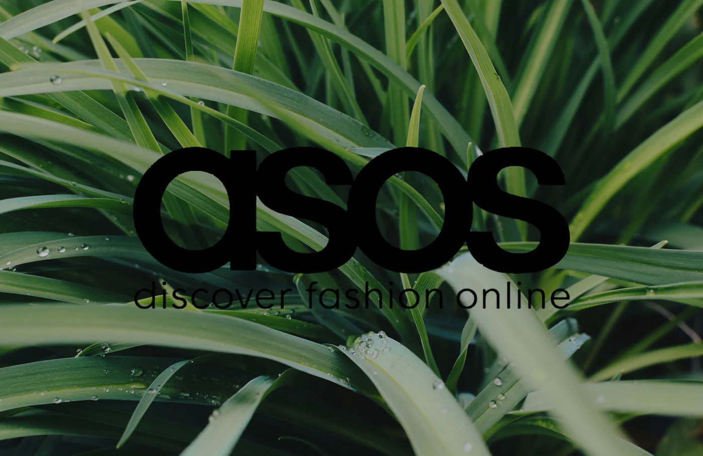 How To Leave A Review On ASOS | Know The Steps Perfectly